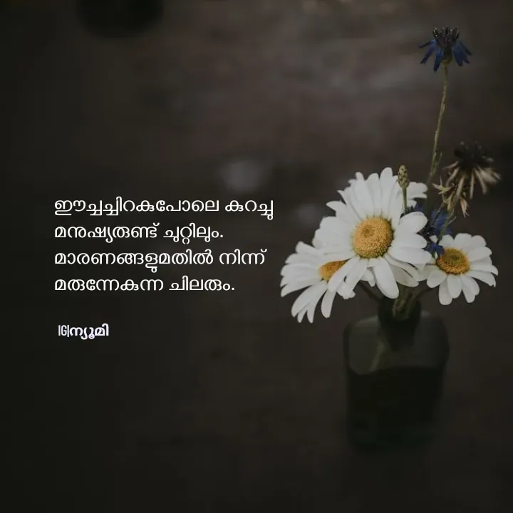 Quote by Ⓩ︎ⓐ︎ⓘ︎ⓝ︎ - ഈച്ചച്ചിറകുപോലെ കുറച്ചു
മനുഷ്യരുണ്ട് ചുറ്റിലും.
മാരണങ്ങളുമതിൽ നിന്ന് 
മരുന്നേകുന്ന ചിലരും.


IG|ന്യൂമി  - Made using Quotes Creator App, Post Maker App