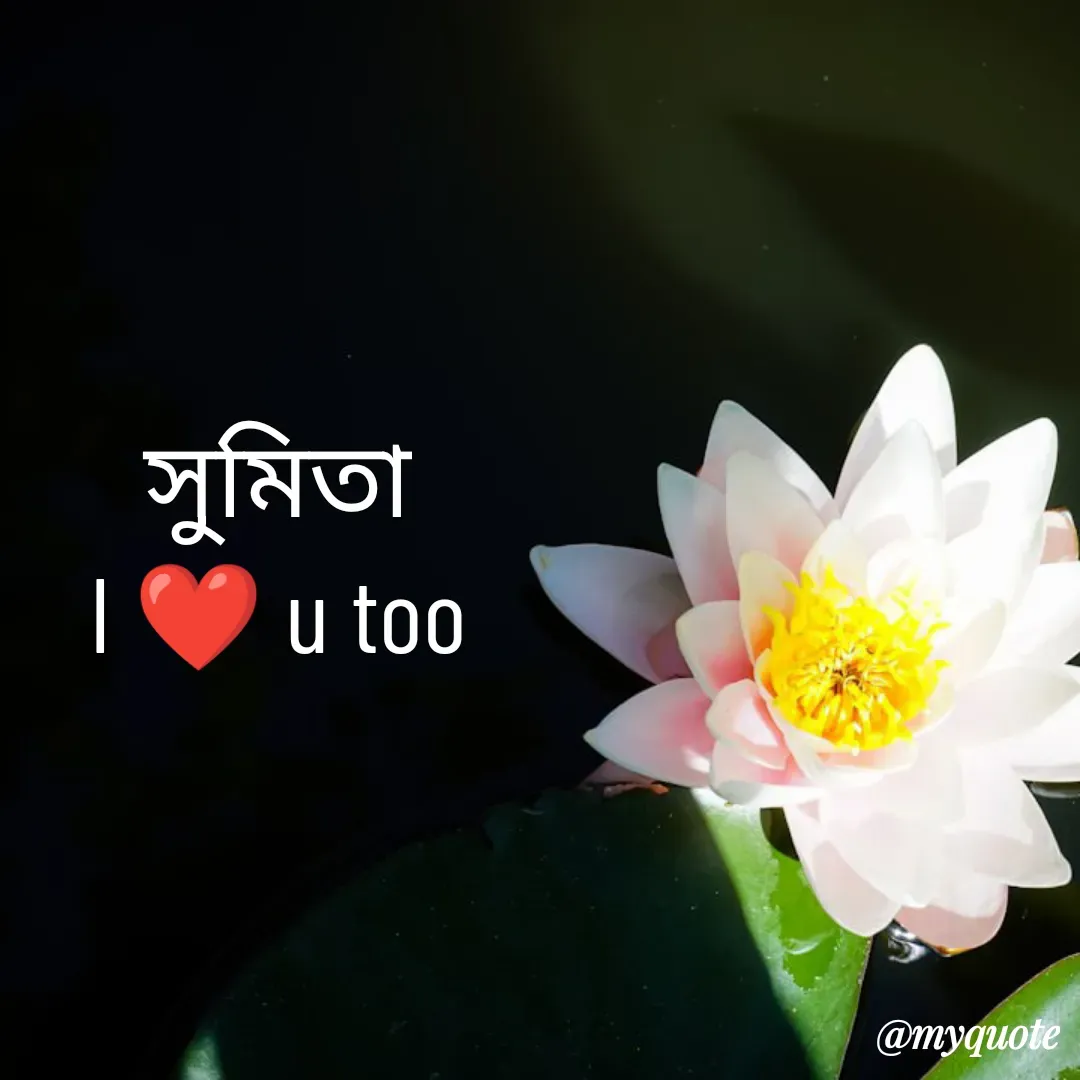 Quote by Sourav Mondal - সুমিতা 
I ❤️ u too  - Made using Quotes Creator App, Post Maker App