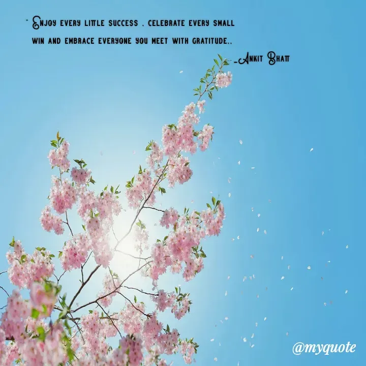 Quote by Ankit Bhatt ⁠♡ - " Enjoy every little success , celebrate every small 
win and embrace everyone you meet with gratitude,,
                                                                         _Ankit Bhatt - Made using Quotes Creator App, Post Maker App