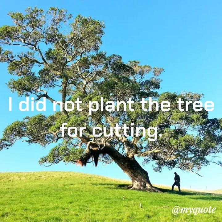 Quote by Piklu Karmakar - I did not plant the tree for cutting. - Made using Quotes Creator App, Post Maker App