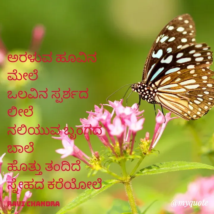 Quote by Ravichandra Ravichandra - ಅರಳುವ ಹೂವಿನ ಮೇಲೆ 
ಒಲವಿನ ಸ್ಪರ್ಶದ ಲೀಲೆ 
ನಲಿಯುವ ಬೃಂಗದ ಬಾಲೆ 
ಹೊತ್ತು ತಂದಿದೆ 
ಸ್ನೇಹದ ಕರೆಯೋಲೆ 

Ravi chandra - Made using Quotes Creator App, Post Maker App