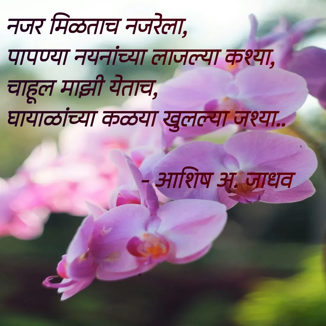 Quote by Ashish Jadhav - नजर मिळताच नजरेला,
पापण्या नयनांच्या लाजल्या कश्या,
चाहूल माझी येताच,
घायाळांच्या कळया खुलल्या जश्या..
                      
                      - आशिष अ. जाधव - Made using Quotes Creator App, Post Maker App