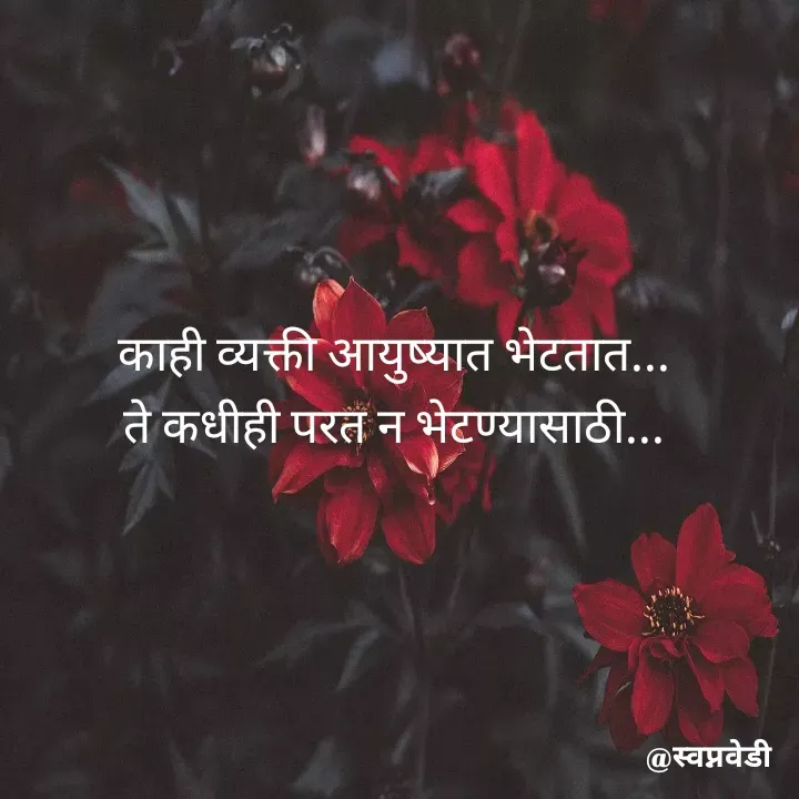 Quote by स्वप्नवेडी - काही व्यक्ती आयुष्यात भेटतात...
ते कधीही परत न भेटण्यासाठी... - Made using Quotes Creator App, Post Maker App