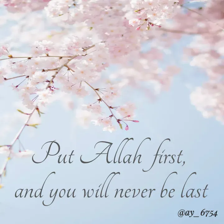 Quote by Ayesha Fathima.I - Put Allah first,
and you will never be last
@ay_6754
 - Made using Quotes Creator App, Post Maker App
