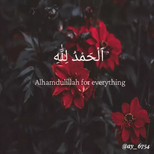 Quote by Ayesha Fathima.I - لَْحَفدُ ل له
Alhamdulillah for everything
@ay_6754
-13
 - Made using Quotes Creator App, Post Maker App