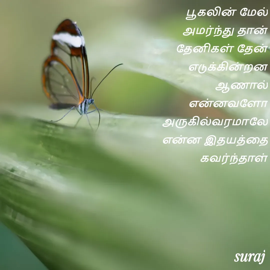 Quote by Sdr - பூகலின் மேல் அமர்ந்து தான் தேனிகள் தேன் எடுக்கின்றன ஆணால் என்னவளோ அருகில்வரமாலே என்ன இதயத்தை கவர்ந்தாள் - Made using Quotes Creator App, Post Maker App