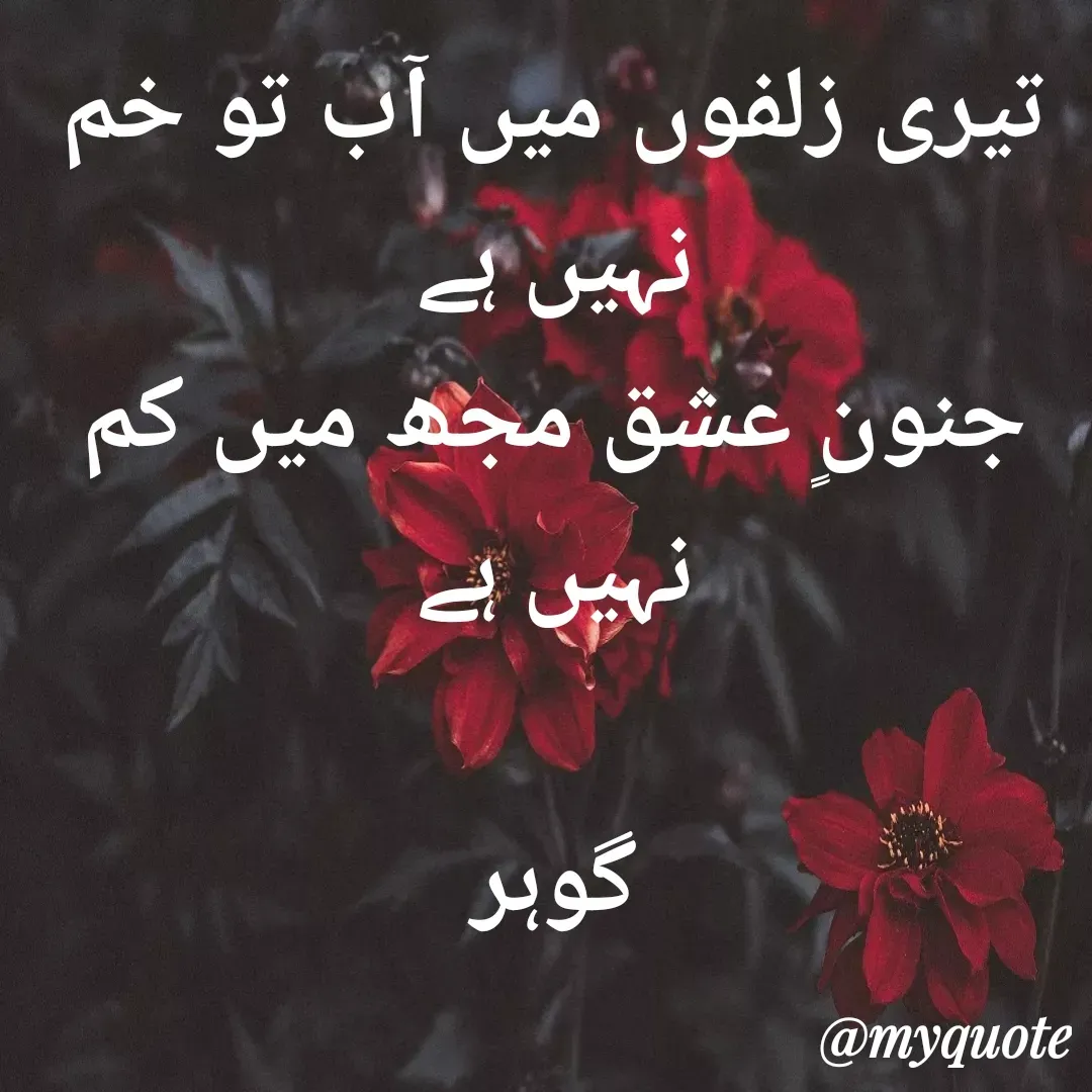 Quote by Altaf Gohar - تیری زلفوں میں آب تو خم نہیں ہے
جنونٍ عشق مجھ میں کم نہیں ہے

گوہر - Made using Quotes Creator App, Post Maker App