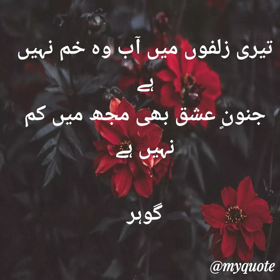 Quote by Altaf Gohar - تیری زلفوں میں آب وہ خم نہیں ہے
جنونٍ عشق بھی مجھ میں کم نہیں ہے

گوہر - Made using Quotes Creator App, Post Maker App
