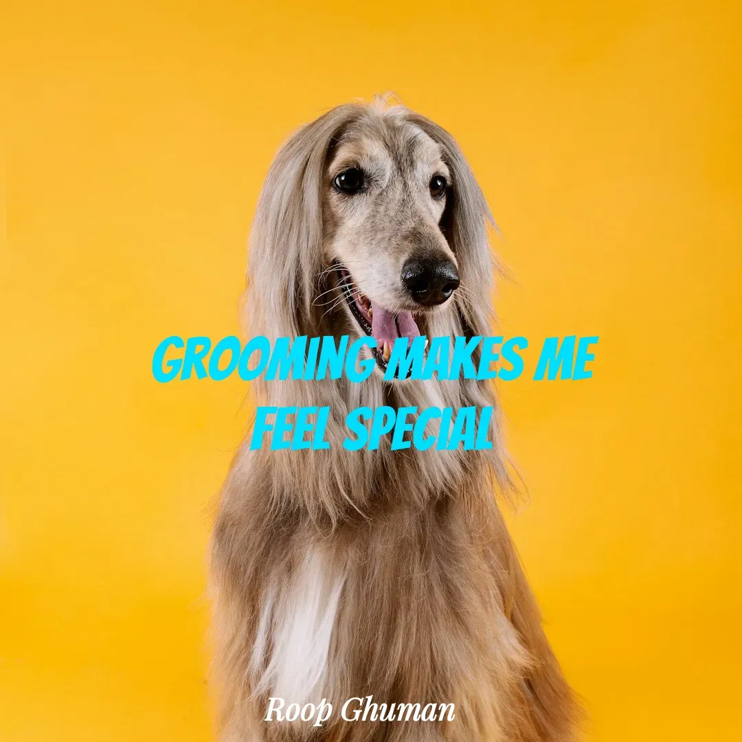 Quote by Roop Ghuman - Grooming Makes me
Feel Special - Made using Quotes Creator App, Post Maker App