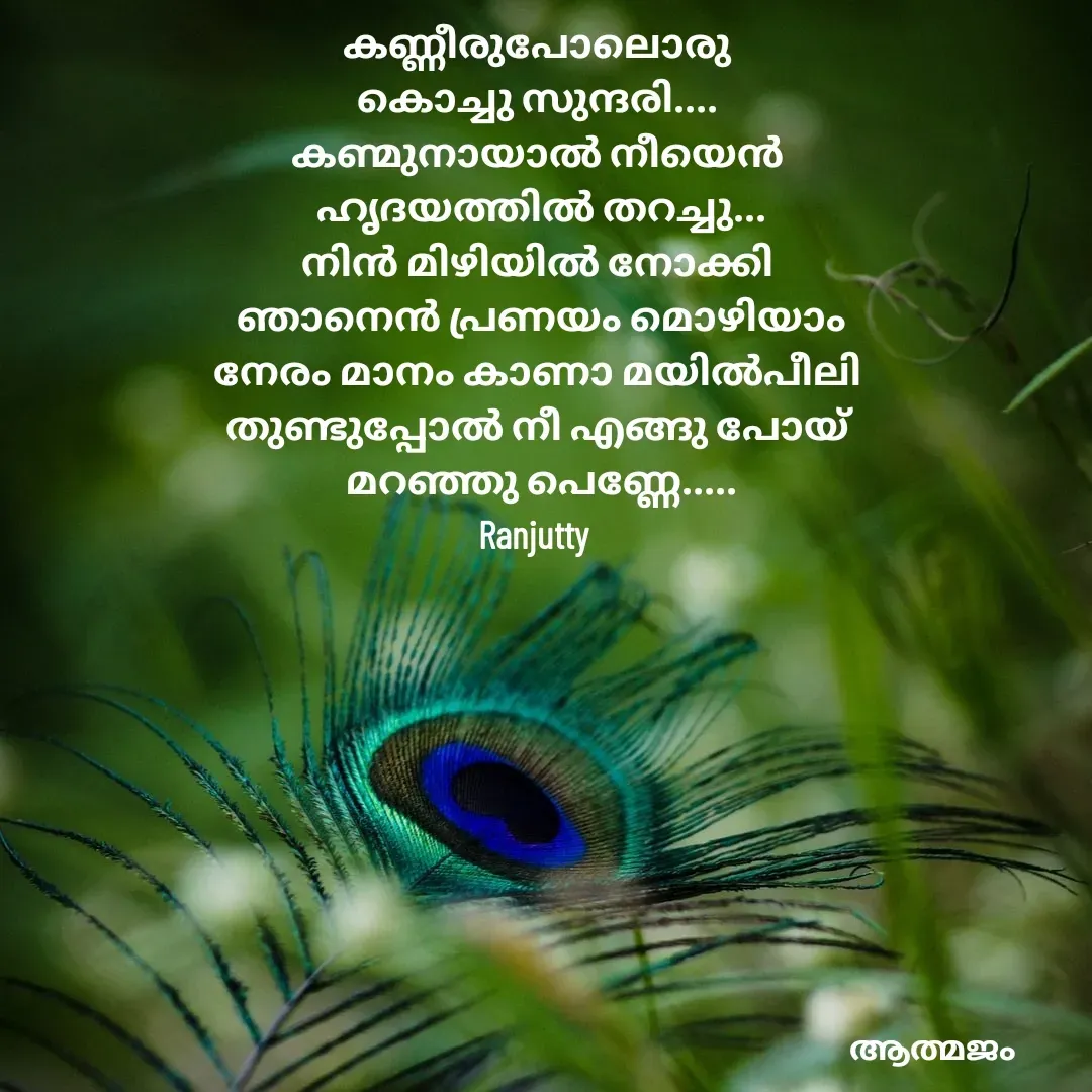 Quote by Ranjutty - കണ്ണീരുപോലൊരു
കൊച്ചു സുന്ദരി....
കണ്മുനായാൽ നീയെൻ
 ഹൃദയത്തിൽ തറച്ചു...
നിൻ മിഴിയിൽ നോക്കി
 ഞാനെൻ പ്രണയം മൊഴിയാം
നേരം മാനം കാണാ മയിൽ‌പീലി
തുണ്ടുപ്പോൽ നീ എങ്ങു പോയ്‌
 മറഞ്ഞു പെണ്ണേ.....
Ranjutty  - Made using Quotes Creator App, Post Maker App