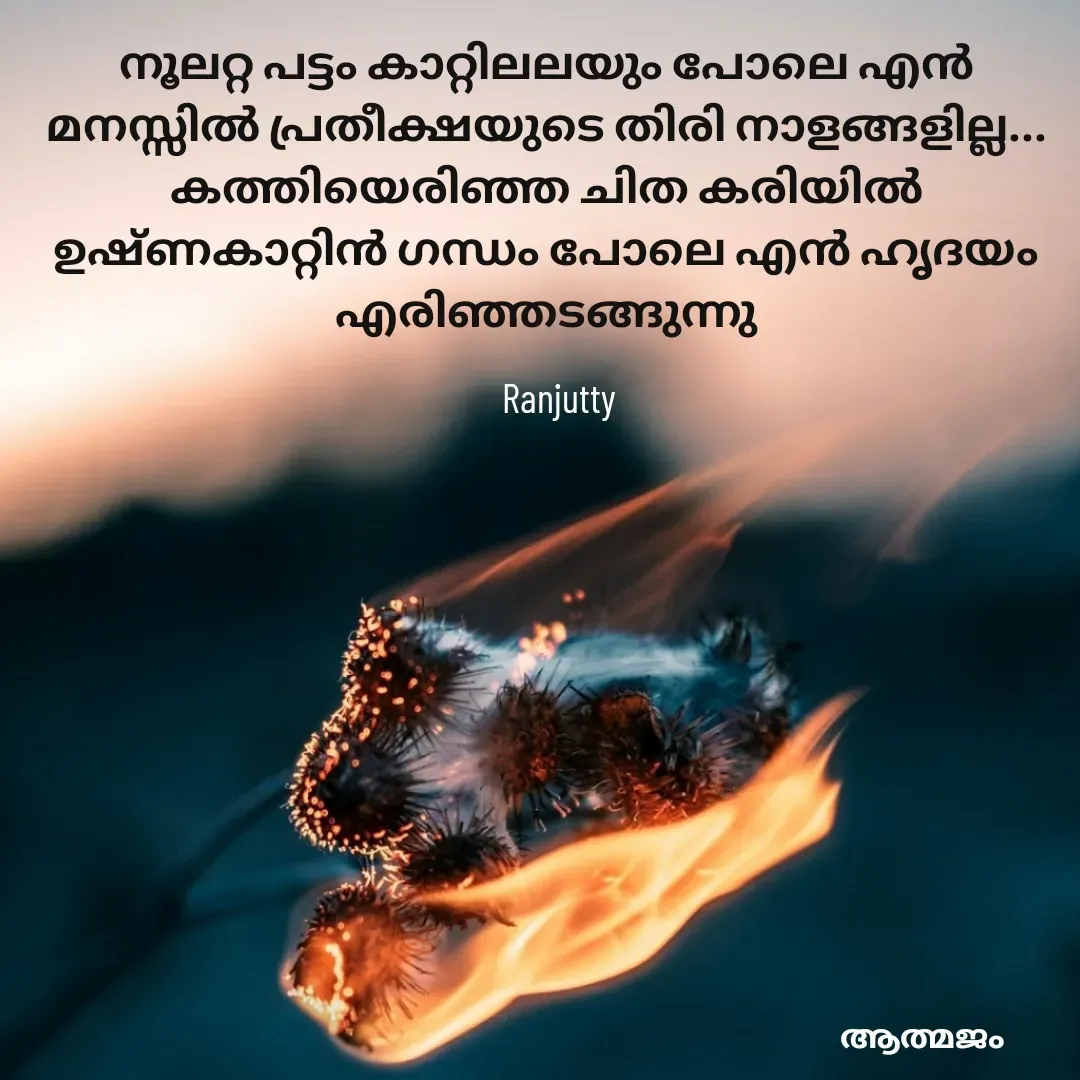Quote by Ranjutty - നൂലറ്റ പട്ടം കാറ്റിലലയും പോലെ എൻ മനസ്സിൽ പ്രതീക്ഷയുടെ തിരി നാളങ്ങളില്ല...
കത്തിയെരിഞ്ഞ ചിത കരിയിൽ ഉഷ്ണകാറ്റിൻ ഗന്ധം പോലെ എൻ ഹൃദയം എരിഞ്ഞടങ്ങുന്നുRanjutty  - Made using Quotes Creator App, Post Maker App
