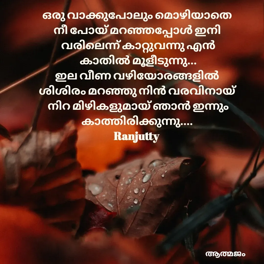 Quote by Ranjutty - ഒരു വാക്കുപോലും മൊഴിയാതെ
നീ പോയ്‌ മറഞ്ഞപ്പോൾ ഇനി
 വരിലെന്ന് കാറ്റുവന്നു എൻ
 കാതിൽ മൂളീടുന്നു...
ഇല വീണ വഴിയോരങ്ങളിൽ
ശിശിരം മറഞ്ഞു നിൻ വരവിനായ്
 നിറ മിഴികളുമായ് ഞാൻ ഇന്നും
കാത്തിരിക്കുന്നു....
Ranjutty  - Made using Quotes Creator App, Post Maker App