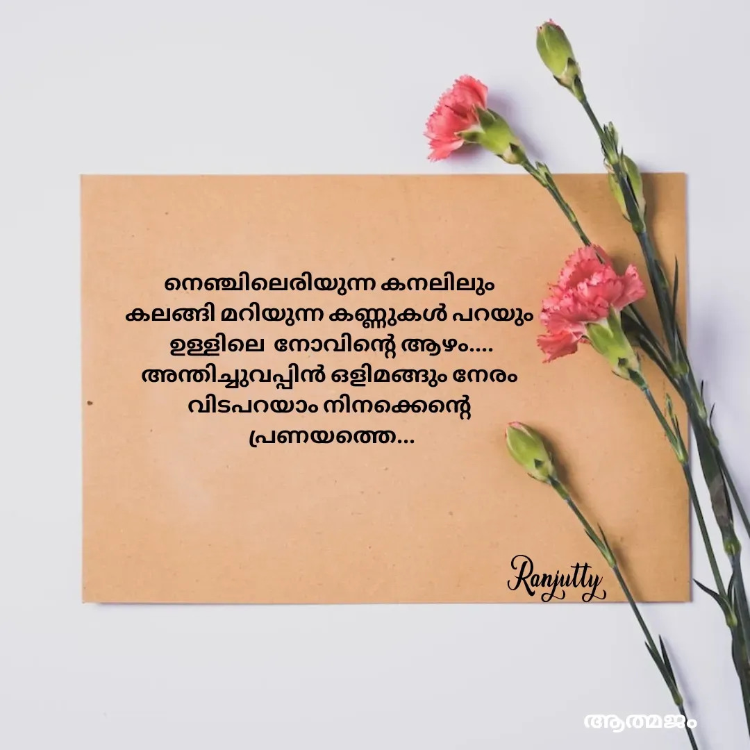 Quote by Ranjutty - നെഞ്ചിലെരിയുന്ന കനലിലും
കലങ്ങി മറിയുന്ന കണ്ണുകൾ പറയും
 ഉള്ളിലെ  നോവിന്റെ ആഴം....
അന്തിച്ചുവപ്പിൻ ഒളിമങ്ങും നേരം
വിടപറയാം നിനക്കെന്റെ
 പ്രണയത്തെ...Ranjutty  - Made using Quotes Creator App, Post Maker App