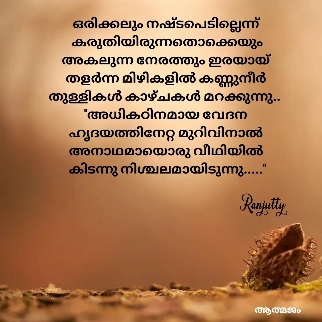 Quote by Ranjutty - ഒരിക്കലും നഷ്ടപെടില്ലെന്ന്
 കരുതിയിരുന്നതൊക്കെയും
അകലുന്ന നേരത്തും ഇരയായ്
തളർന്ന മിഴികളിൽ കണ്ണുനീർ
തുള്ളികൾ കാഴ്ചകൾ മറക്കുന്നു.. 
"അധികഠിനമായ വേദന
ഹൃദയത്തിനേറ്റ മുറിവിനാൽ
അനാഥമായൊരു വീഥിയിൽ
 കിടന്നു നിശ്ചലമായിടുന്നു....."Ranjutty  - Made using Quotes Creator App, Post Maker App