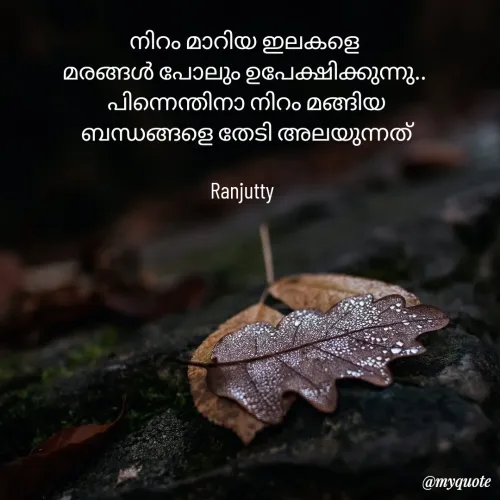 Quote by Ranjutty - നിറം മാറിയ ഇലകളെ
മരങ്ങൾ പോലും ഉപേക്ഷിക്കുന്നു..
 പിന്നെന്തിനാ നിറം മങ്ങിയ
 ബന്ധങ്ങളെ തേടി അലയുന്നത്

Ranjutty  - Made using Quotes Creator App, Post Maker App