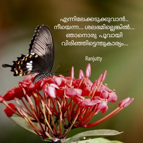 Quote by Ranjutty - എന്നിലേക്കടുക്കുവാൻ..
 നീയെന്ന... ശലഭമില്ലെങ്കിൽ... 
ഞാനൊരു  പൂവായി
 വിരിഞ്ഞിട്ടെന്തുകാര്യം...

Ranjutty  - Made using Quotes Creator App, Post Maker App