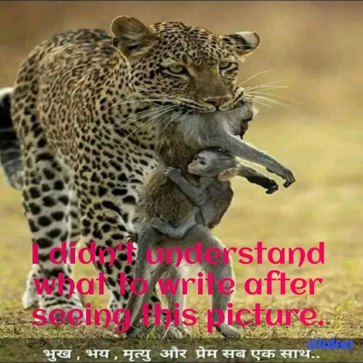 Quote by lalan kumar - I didn't understand what to write after seeing this picture. - Made using Quotes Creator App, Post Maker App