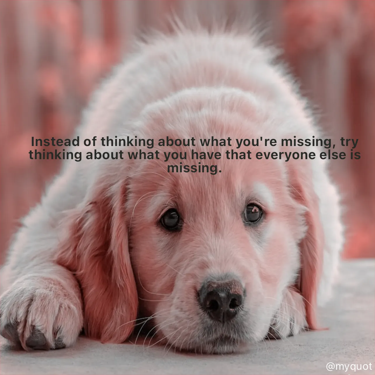 Quote by Rani Tharuni - Instead of thinking about what you're missing, try thinking about what you have that everyone else is missing. - Made using Quotes Creator App, Post Maker App