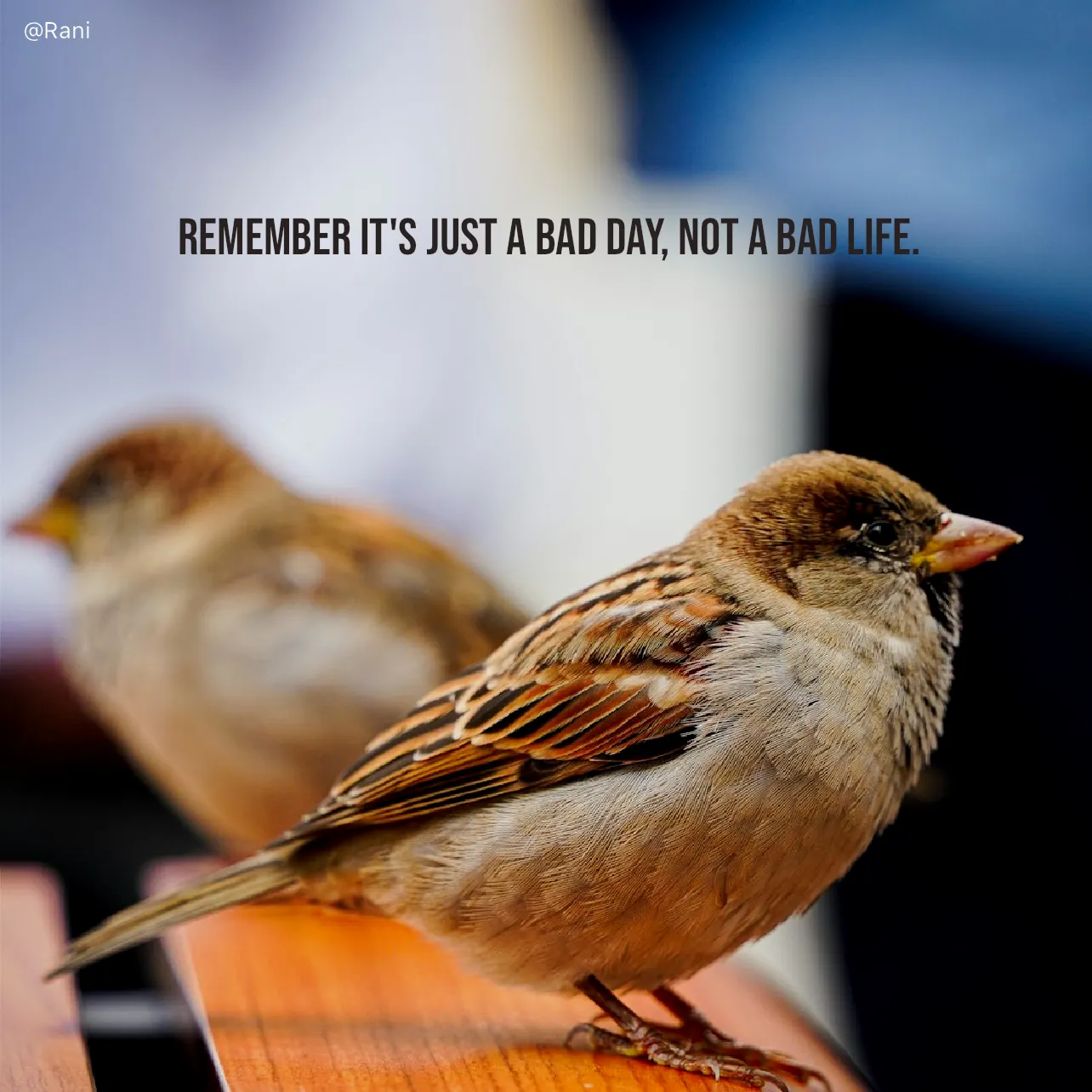 Quote by Rani Tharuni - Remember it's just a bad day, not a bad life. - Made using Quotes Creator App, Post Maker App