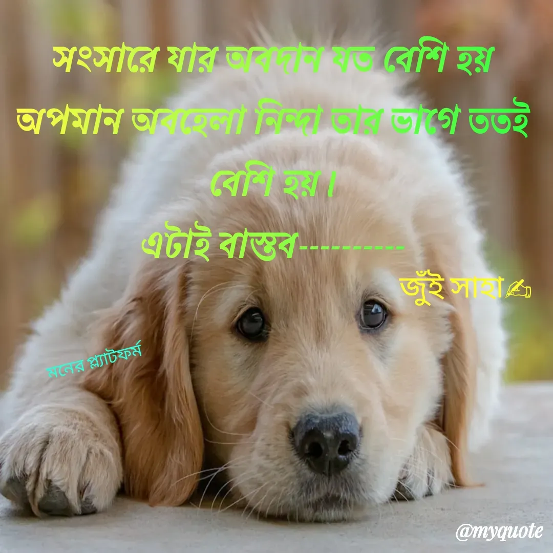 Quote by Jui Saha - মনের প্ল্যাটফর্ম - Made using Quotes Creator App, Post Maker App