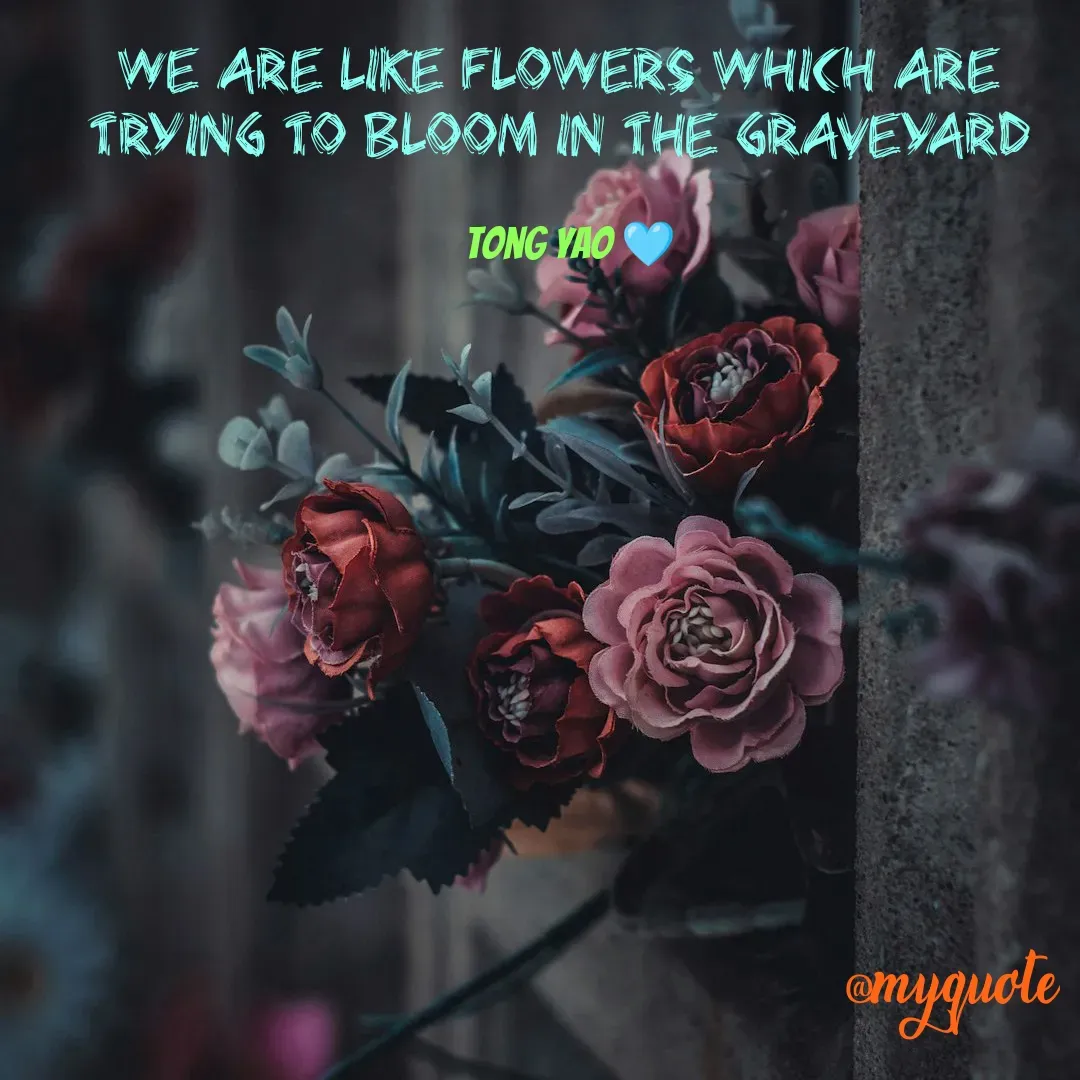 Quote by Tong Yao - we are like flowers which are trying to bloom in the graveyard

Tong Yao 🩵 - Made using Quotes Creator App, Post Maker App