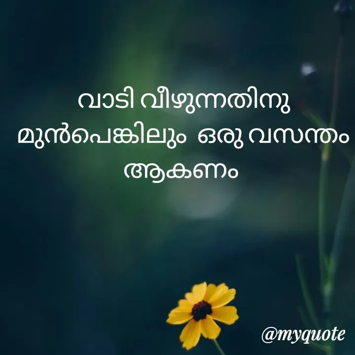 Quote by Soji k raju - വാടി വീഴുന്നതിനു മുൻപെങ്കിലും  ഒരു വസന്തം ആകണം  - Made using Quotes Creator App, Post Maker App