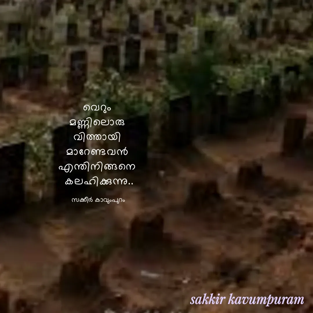 Quote by Sakkir kavumpuram - വെറും 
മണ്ണിലൊരു 
വിത്തായി 
മാറേണ്ടവൻ 
എന്തിനിങ്ങനെ 
കലഹിക്കുന്നു..സക്കീർ കാവുംപുറം - Made using Quotes Creator App, Post Maker App