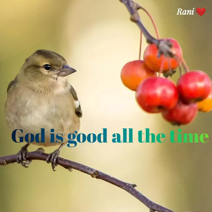 Quote by Rashmi - God is good all the time  - Made using Quotes Creator App, Post Maker App
