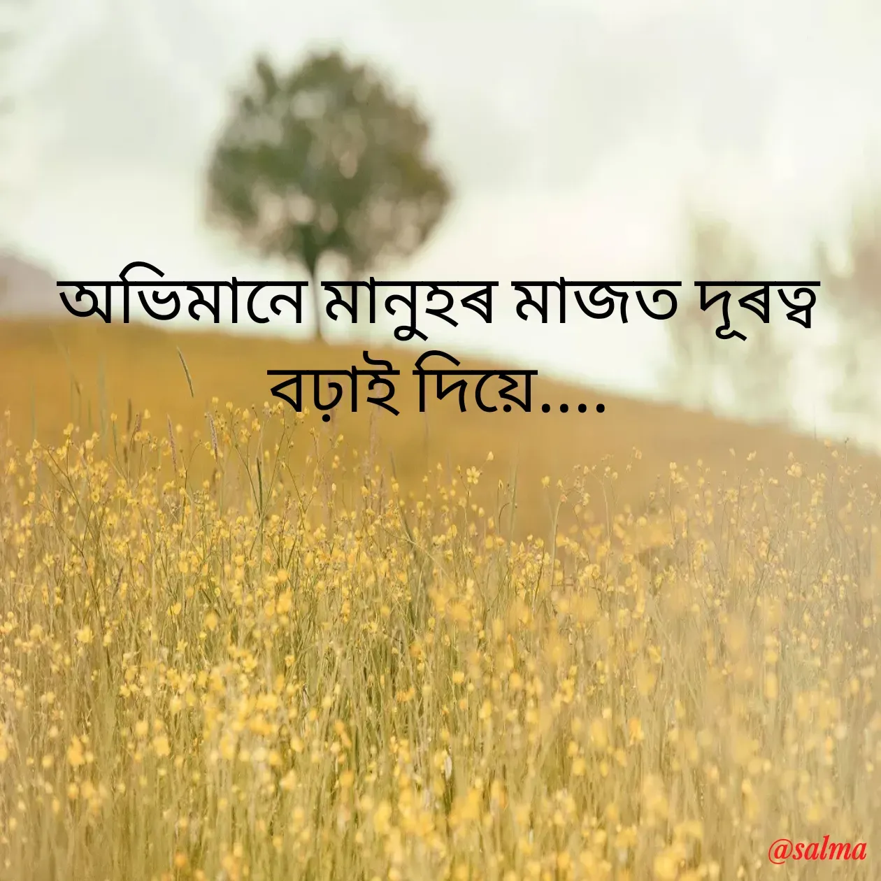 Quote by Salma  Sultana - অভিমানে মানুহৰ মাজত দূৰত্ব বঢ়াই দিয়ে.... - Made using Quotes Creator App, Post Maker App