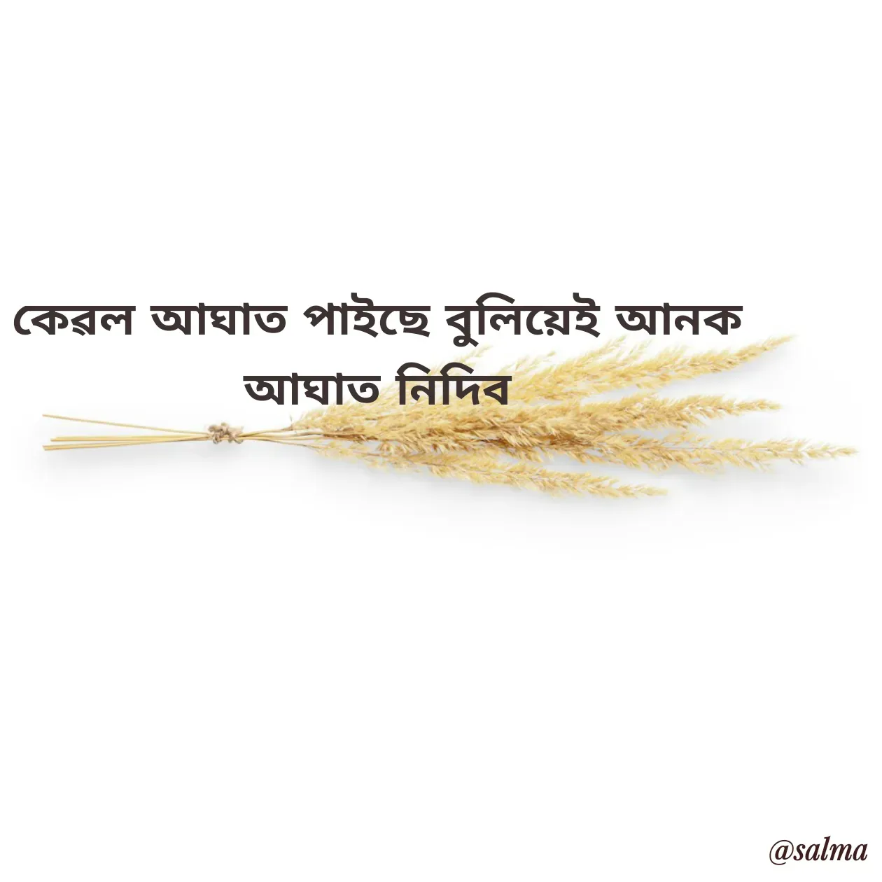 Quote by Salma  Sultana - কেৱল আঘাত পাইছে বুলিয়েই আনক আঘাত নিদিব - Made using Quotes Creator App, Post Maker App