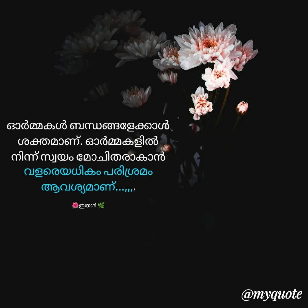 Quote by 🌺 ഇതൾ 🌺 - 


ഓർമ്മകൾ ബന്ധങ്ങളേക്കാൾ ശക്തമാണ്. ഓർമ്മകളിൽ നിന്ന് സ്വയം മോചിതരാകാൻ വളരെയധികം പരിശ്രമം ആവശ്യമാണ്...,,,,

🌺ഇതൾ 🌿 - Made using Quotes Creator App, Post Maker App