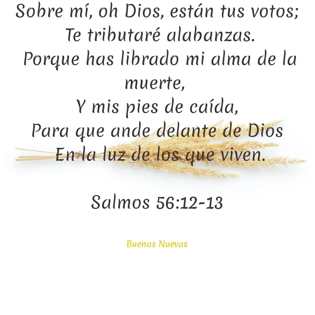 Quote by Vikingo Soy -  Sobre mí, oh Dios, están tus votos; 
 Te tributaré alabanzas.
 Porque has librado mi alma de la muerte, 
 Y mis pies de caída, 
 Para que ande delante de Dios 
 En la luz de los que viven.

Salmos 56:12-13


Buenas Nuevas - Made using Quotes Creator App, Post Maker App