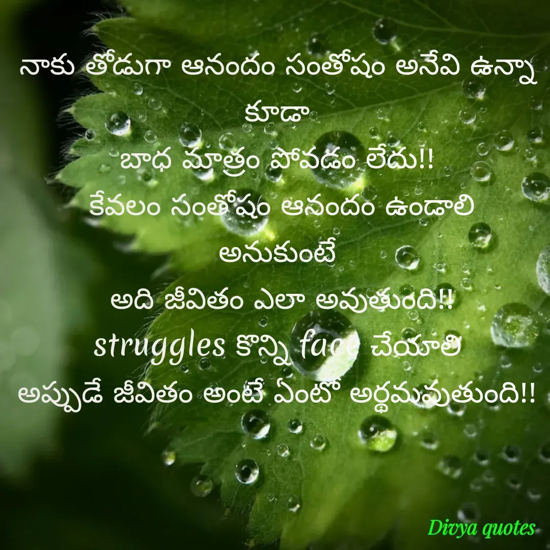 Quote by V Divya - 
నాకు తోడుగా ఆనందం సంతోషం అనేవి ఉన్నా కూడా
బాధ మాత్రం పోవడం లేదు!!
 కేవలం సంతోషం ఆనందం ఉండాలి అనుకుంటే
 అది జీవితం ఎలా అవుతుంది!!
struggles కొన్ని face చేయాలి
అప్పుడే జీవితం అంటే ఏంటో అర్థమవుతుంది!! - Made using Quotes Creator App, Post Maker App