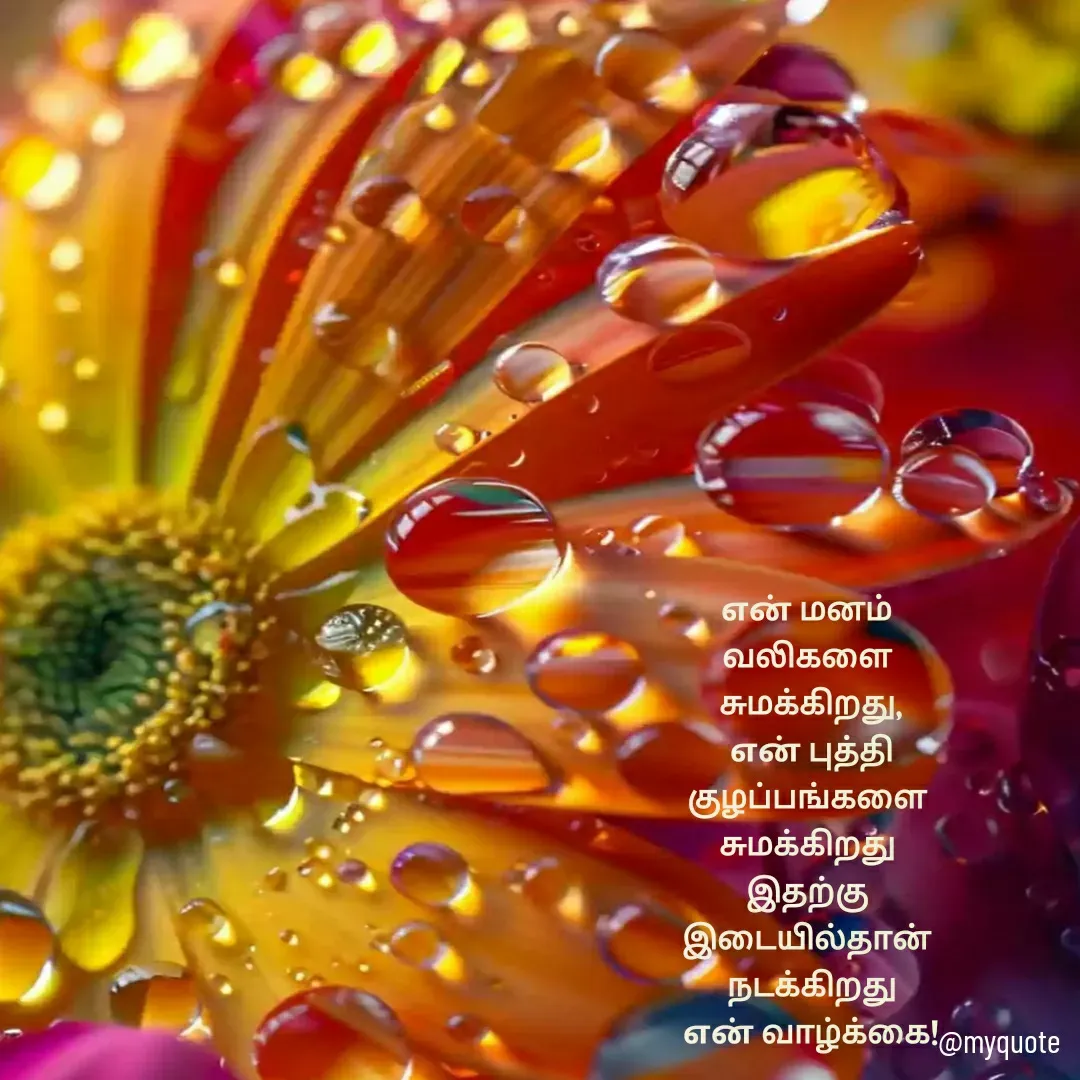 Quote by MKBG xerox - என் மனம் 
வலிகளை 
சுமக்கிறது,
என் புத்தி
குழப்பங்களை 
சுமக்கிறது 
இதற்கு 
இடையில்தான் 
நடக்கிறது
என் வாழ்க்கை! - Made using Quotes Creator App, Post Maker App