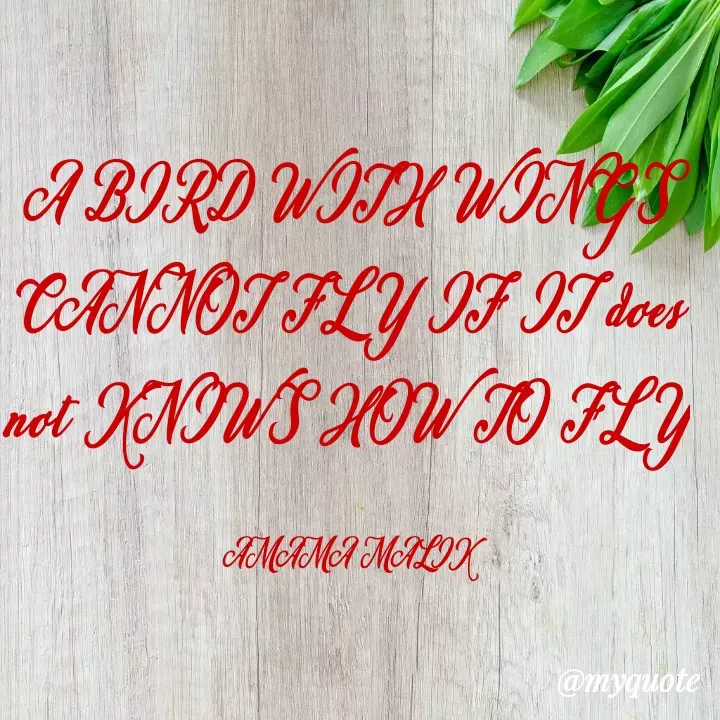 Quote by Amama malik - A BIRD WITH WINGS CANNOT FLY IF IT does not KNIWS HOW TO FLY

AMAMA MALIK - Made using Quotes Creator App, Post Maker App