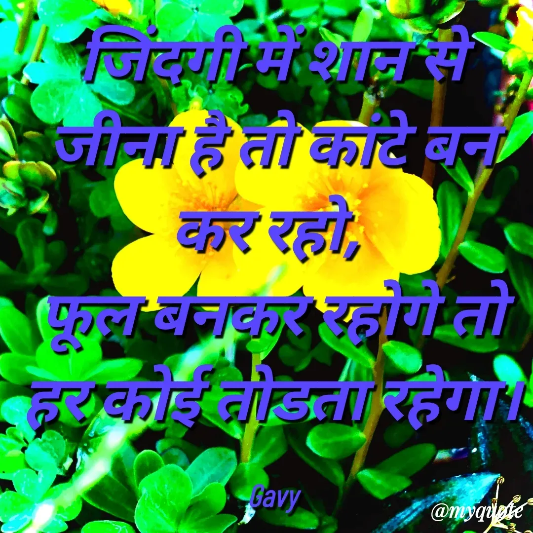Quote by Gavy writer - जिंदगी में शान से जीना है तो कांटे बन कर रहो, 
फूल बनकर रहोगे तो हर कोई तोडता रहेगा।

Gavy - Made using Quotes Creator App, Post Maker App