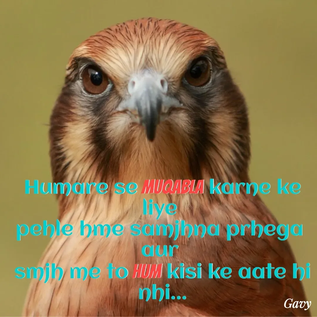 Quote by Gavy writer - Humare se muqabla karne ke liye 
pehle hme samjhna prhega 
aur 
smjh me to hum kisi ke aate hi nhi... - Made using Quotes Creator App, Post Maker App