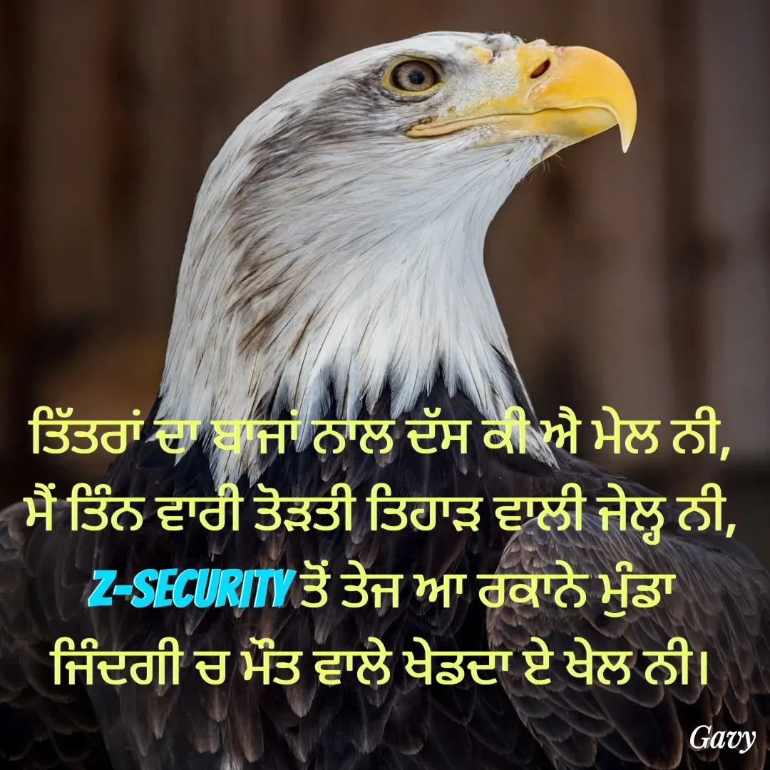 Quote by Army - ਤਿੱਤਰਾਂ ਦਾ ਬਾਜਾਂ ਨਾਲ ਦੱਸ ਕੀ ਐ ਮੇਲ ਨੀ, 
ਮੈਂ ਤਿੰਨ ਵਾਰੀ ਤੋੜਤੀ ਤਿਹਾੜ ਵਾਲੀ ਜੇਲ੍ਹ ਨੀ, 
z-security ਤੋਂ ਤੇਜ ਆ ਰਕਾਨੇ ਮੁੰਡਾ 
ਜਿੰਦਗੀ ਚ ਮੌਤ ਵਾਲੇ ਖੇਡਦਾ ਏ ਖੇਲ ਨੀ।  - Made using Quotes Creator App, Post Maker App