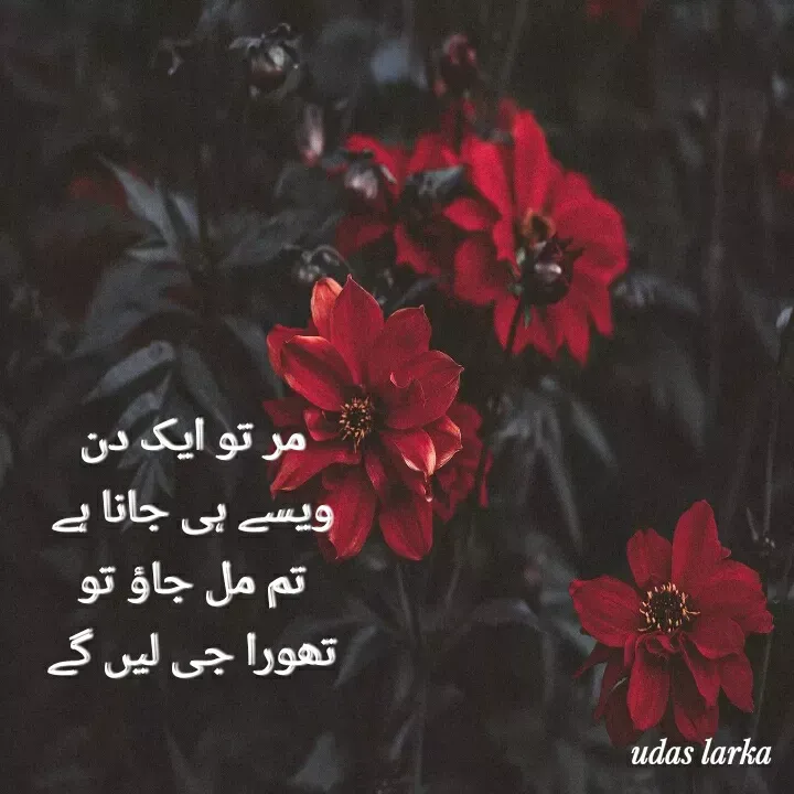 Quote by Hasnain - 
مر تو ایک دن ویسے ہی جانا ہے
تم مل جاؤ تو تھورا جی لیں گے - Made using Quotes Creator App, Post Maker App
