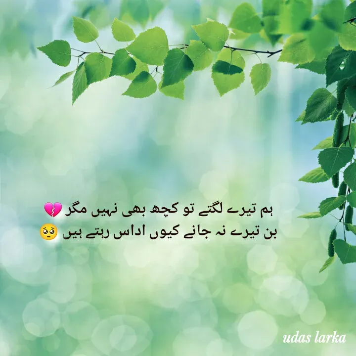 Quote by Hasnain - ہم تیرے لگتے تو کچھ بھی نہیں مگر 💔
بن تیرے نہ جانے کیوں اداس رہتے ہیں🥺 - Made using Quotes Creator App, Post Maker App