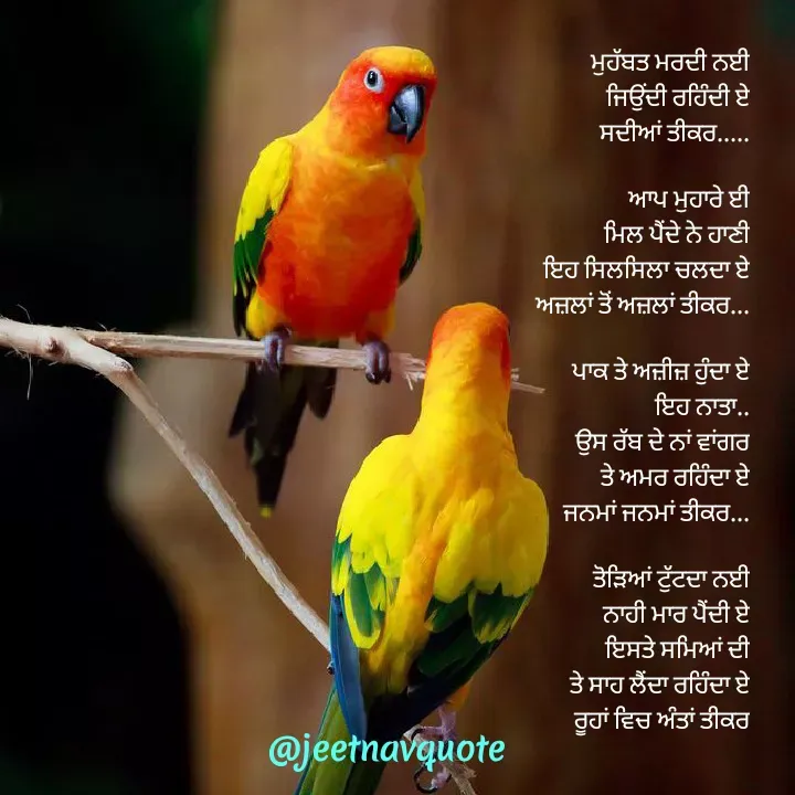 Quote by jeet nav - ਮੁਹੱਬਤ ਮਰਦੀ ਨਈ
ਜਿਉਂਦੀ ਰਹਿੰਦੀ ਏ
ਸਦੀਆਂ ਤੀਕਰ.....

ਆਪ ਮੁਹਾਰੇ ਈ
ਮਿਲ ਪੈਂਦੇ ਨੇ ਹਾਣੀ
ਇਹ ਸਿਲਸਿਲਾ ਚਲਦਾ ਏ
ਅਜ਼ਲਾਂ ਤੋਂ ਅਜ਼ਲਾਂ ਤੀਕਰ...

ਪਾਕ ਤੇ ਅਜ਼ੀਜ਼ ਹੁੰਦਾ ਏ
ਇਹ ਨਾਤਾ..
ਉਸ ਰੱਬ ਦੇ ਨਾਂ ਵਾਂਗਰ
ਤੇ ਅਮਰ ਰਹਿੰਦਾ ਏ
ਜਨਮਾਂ ਜਨਮਾਂ ਤੀਕਰ...

ਤੋੜਿਆਂ ਟੁੱਟਦਾ ਨੲੀ
ਨਾਹੀ ਮਾਰ ਪੈਂਦੀ ਏ
ਇਸਤੇ ਸਮਿਆਂ ਦੀ
ਤੇ ਸਾਹ ਲੈਂਦਾ ਰਹਿੰਦਾ ਏ
ਰੂਹਾਂ ਵਿਚ ਅੰਤਾਂ ਤੀਕਰ
 - Made using Quotes Creator App, Post Maker App