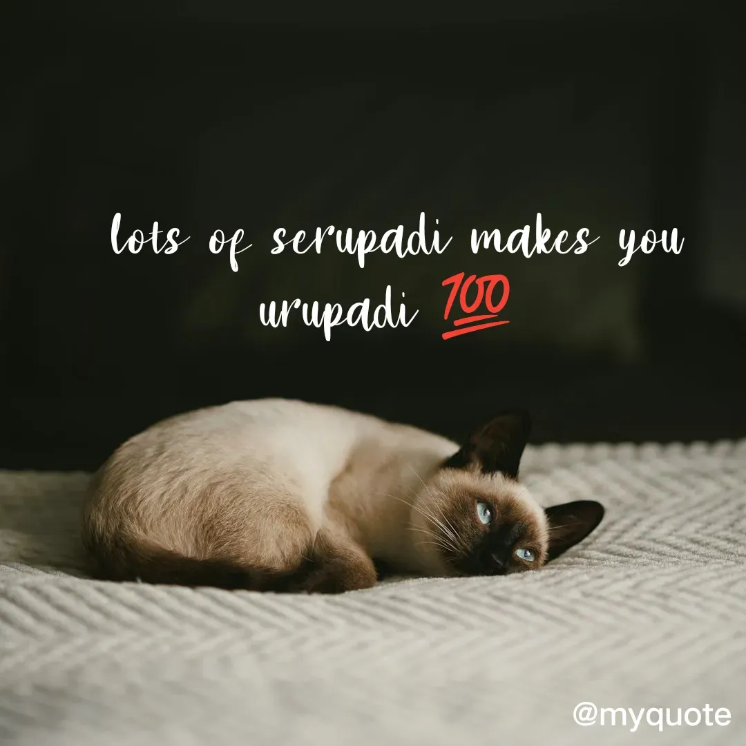 Quote by neriah - lots of serupadi makes you urupadi 💯 
 - Made using Quotes Creator App, Post Maker App