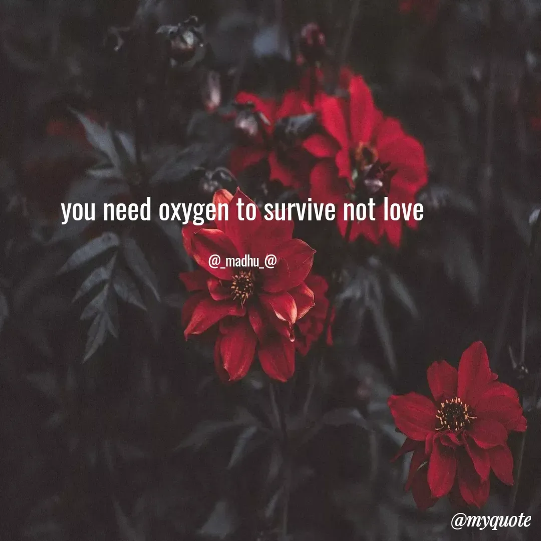 Quote by Madhu - you need oxygen to survive not love

@_madhu_@ - Made using Quotes Creator App, Post Maker App