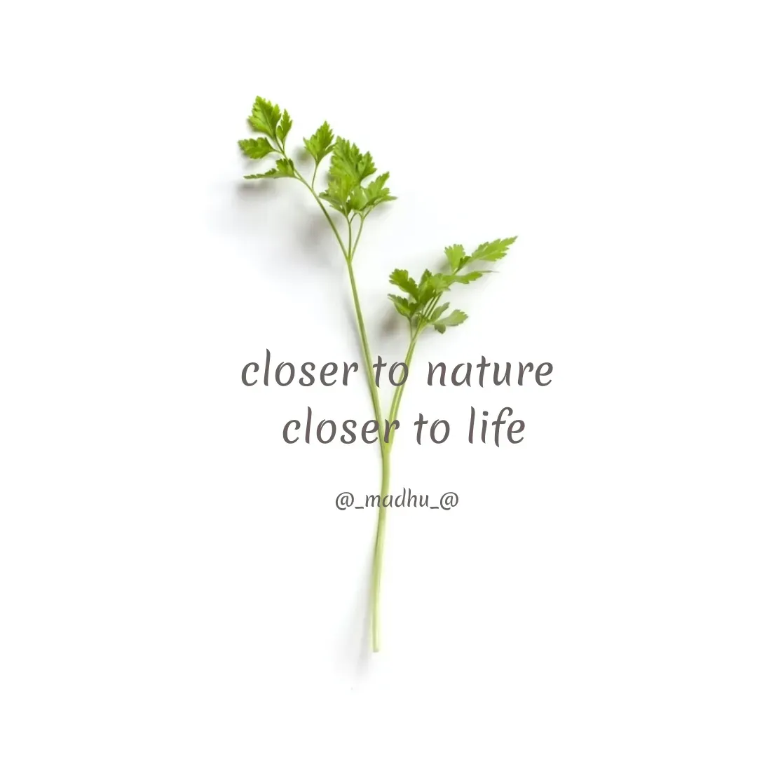 Quote by Madhu - closer to nature
 closer to life

@_madhu_@ - Made using Quotes Creator App, Post Maker App