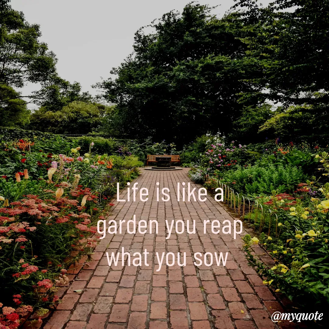 Quote by Aisha Patnaik - Life is like a garden you reap what you sow  - Made using Quotes Creator App, Post Maker App