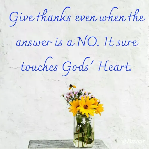 Quotes by Lily Bossek - Favour - Give thanks even when the answer is a NO. It sure touches Gods' Heart.