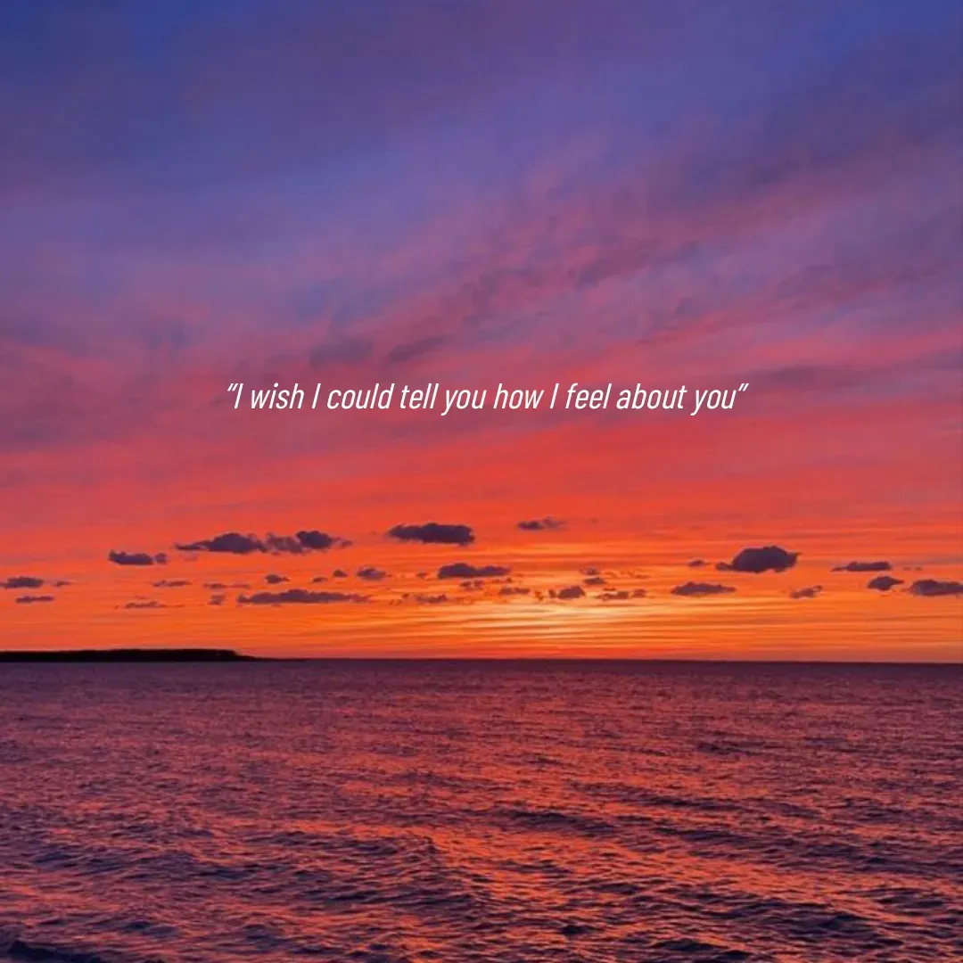 Quote by Mahima Pradhan - “I wish I could tell you how I feel about you” - Made using Quotes Creator App, Post Maker App