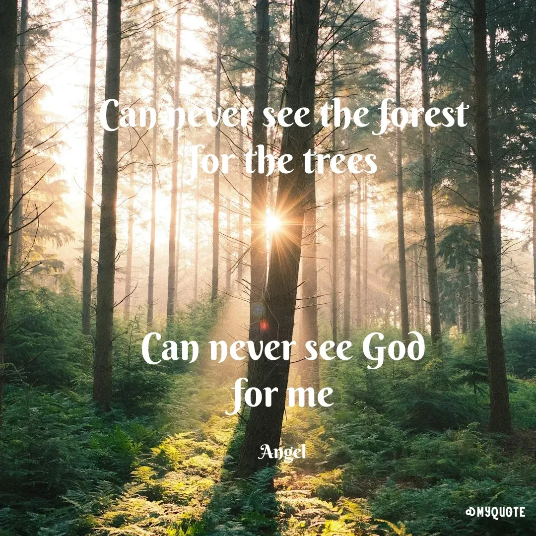 Quote by The Messenger - Can never see the forest
for the trees



Can never see God
for me

Angel - Made using Quotes Creator App, Post Maker App
