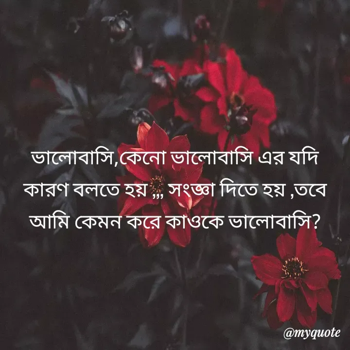 Quote by Md Mokhtar - ভালোবাসি,কেনো ভালোবাসি এর যদি কারণ বলতে হয় ,,, সংজ্ঞা দিতে হয় ,তবে আমি কেমন করে কাওকে ভালোবাসি? - Made using Quotes Creator App, Post Maker App