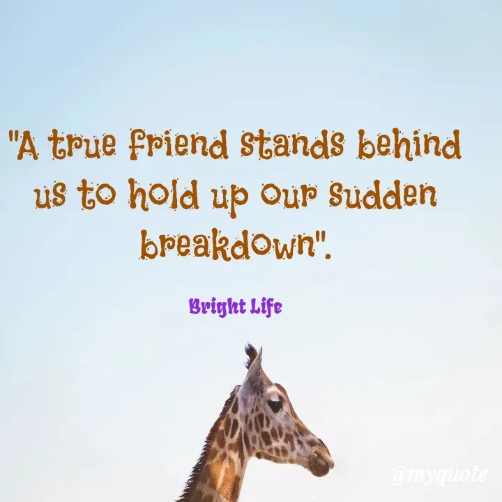Quote by Bright Isaiah - "A true friend stands behind us to hold up our sudden breakdown".

Bright Life - Made using Quotes Creator App, Post Maker App